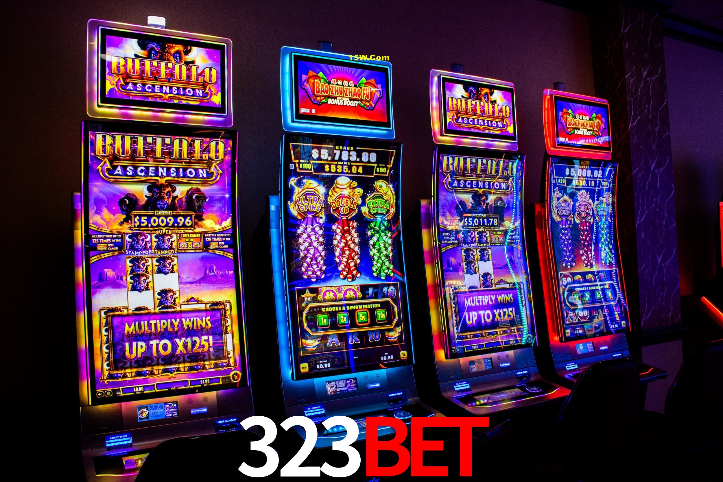 Statistics 323Bet